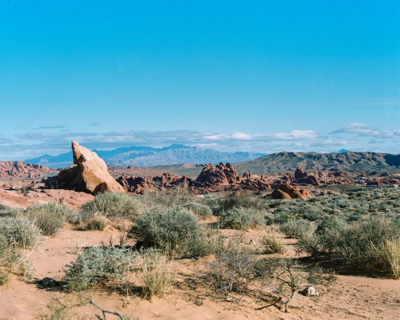 A stunning desert vista with rocky formations and blue skies, perfect for travel and nature themes.
