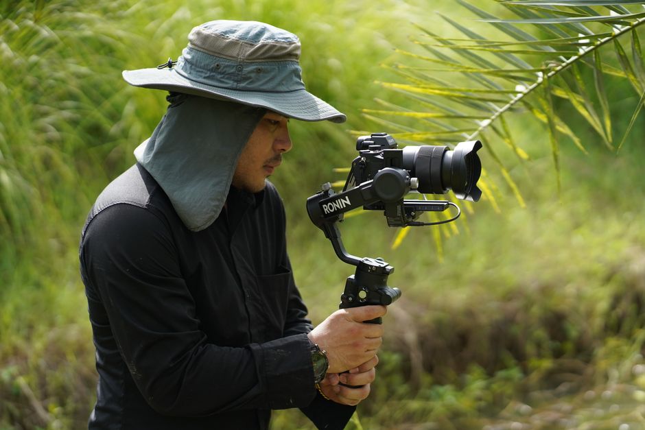 A focused videographer captures nature scenes with a camera on a gimbal amidst lush greenery.