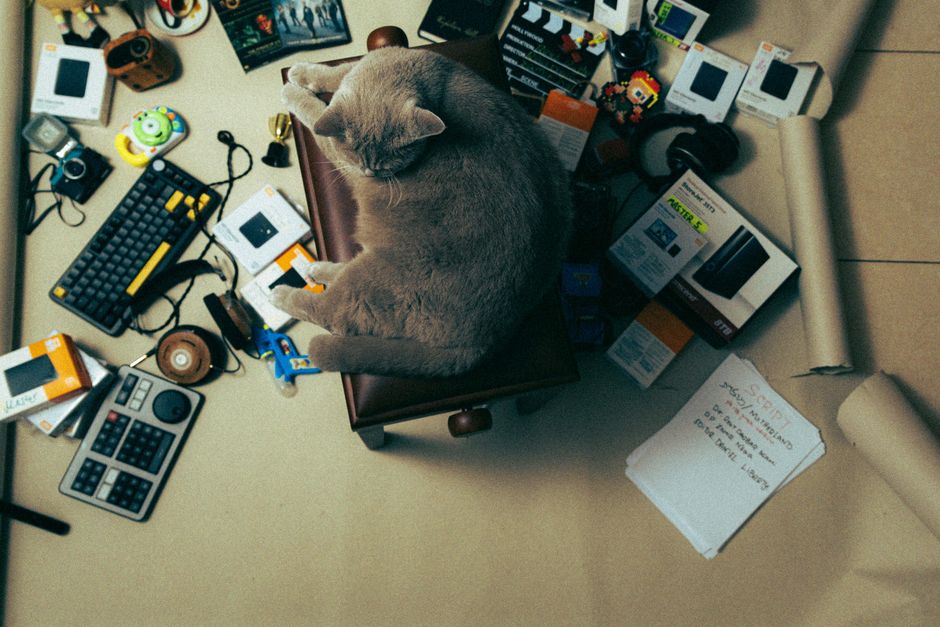 A cat relaxes in a cluttered workspace filled with electronic items and supplies, providing a unique cozy contrast.