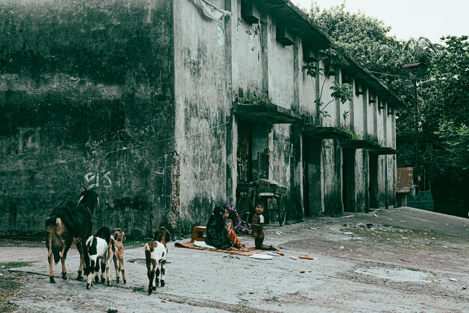 A rustic urban scene with children sitting near goats by an old building.