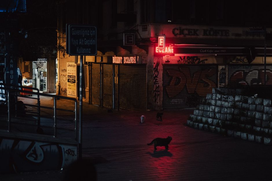 Cinematic shot of an empty İstanbul street at night, with neon lights and shadows.
