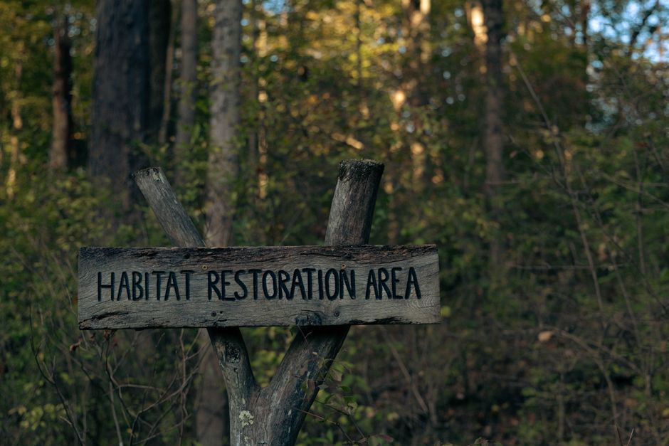 Wooden sign indicating a habitat restoration area in a forest setting.