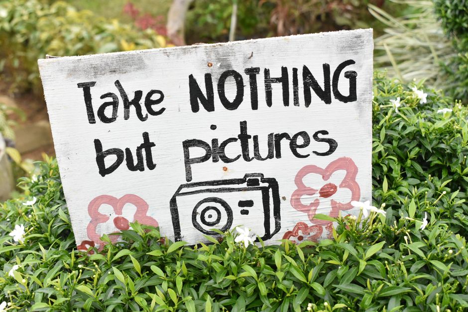 Close-up of a handmade garden sign with flowers, urging visitors to take only pictures.