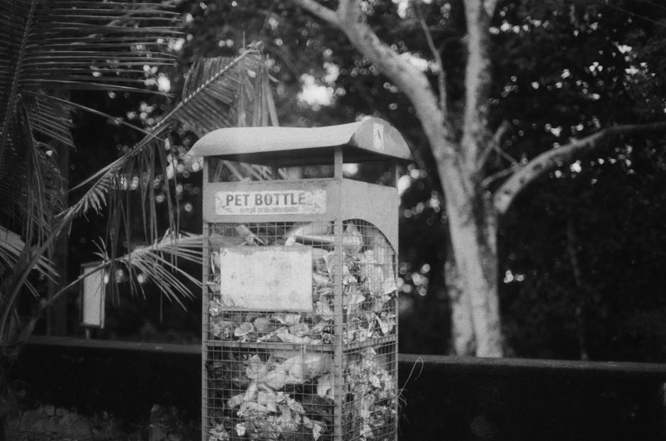 Monochrome shot of overflowing outdoor recycling bin surrounded by trees.