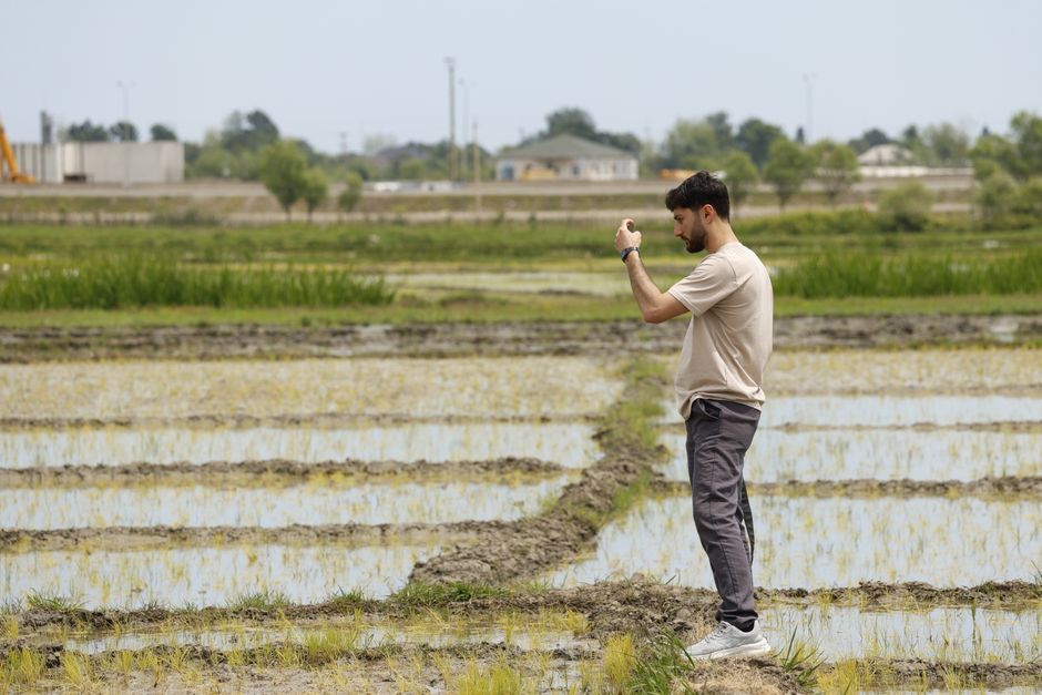 Young man taking a picture with smartphone in a rice field.