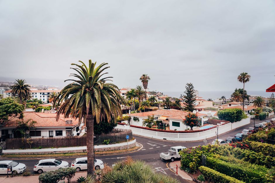 Scenic aerial view of Puerto de la Cruz with palm trees and ocean in sight.