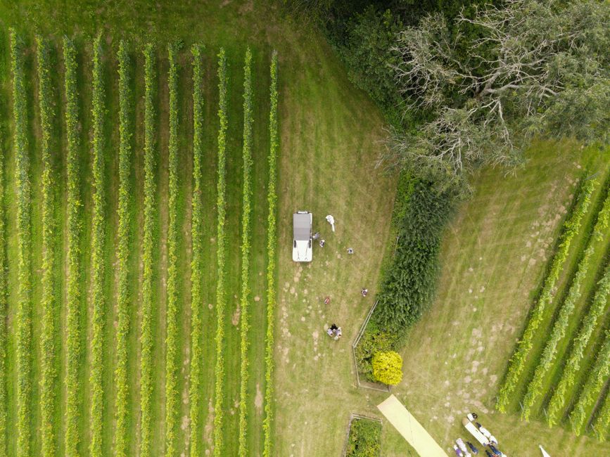 A drone shot capturing a vineyard with vehicle and people from above.
