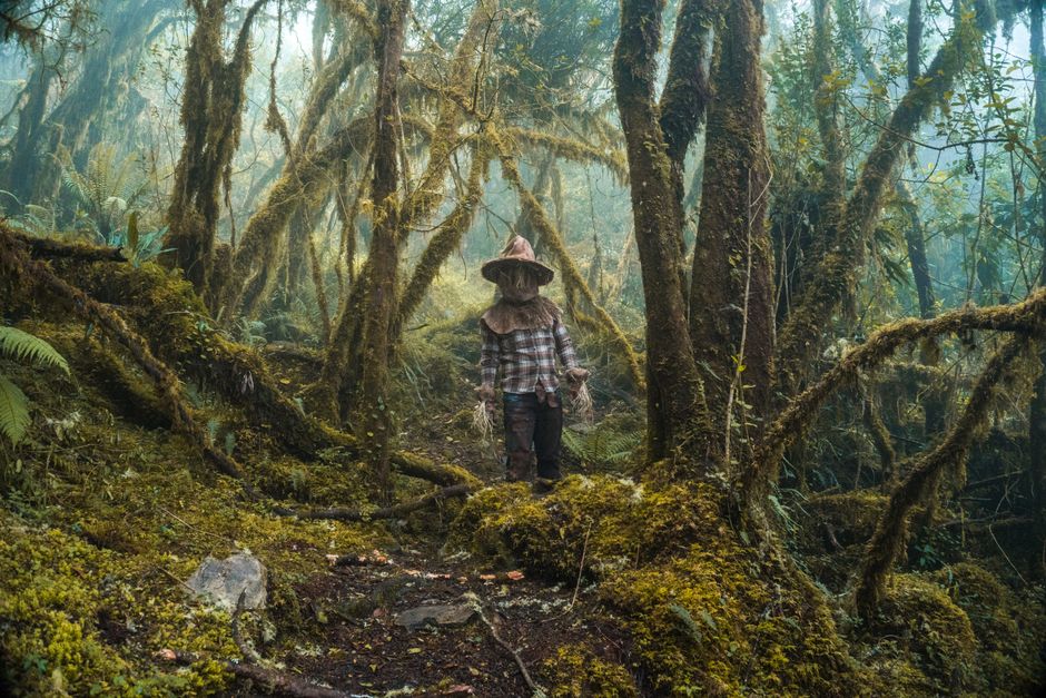 A mysterious figure in a witch hat stands amidst a lush, mossy Colombian forest.