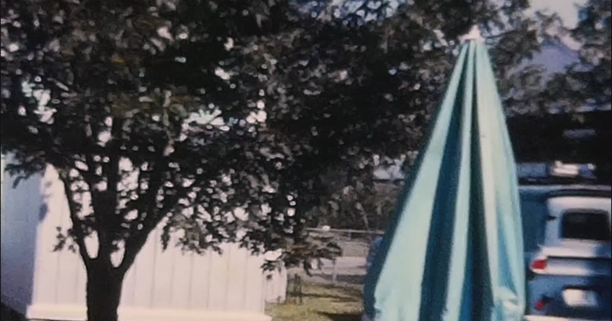Del found footage al fake documentary: cómo el terror contemporáneo explota teorías conspirativas sin VFX