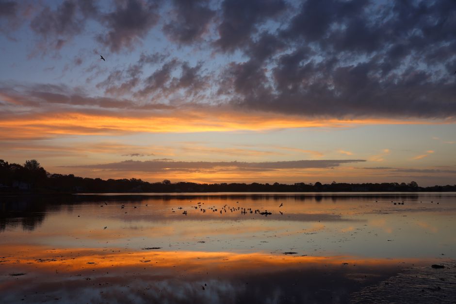 Serene sunrise over a calm lake with vibrant reflections and scattered birds in the sky.